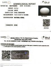 8.22/CT White Coral with Govt. Lab Certified (1500)